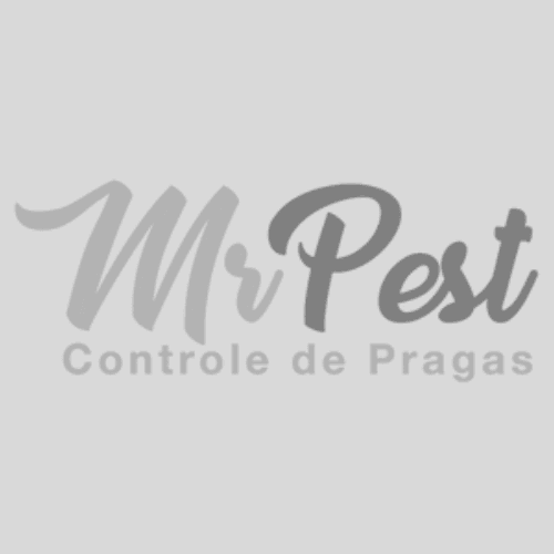 Mr Pest